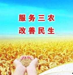 三农视频,视频揭示乡村振兴新篇章
